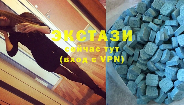 молекула духа Снежногорск