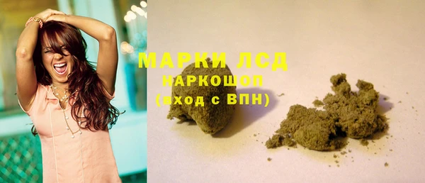 молекула духа Снежногорск
