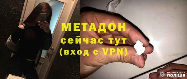 молекула духа Снежногорск