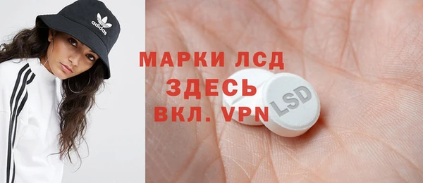 молекула духа Снежногорск
