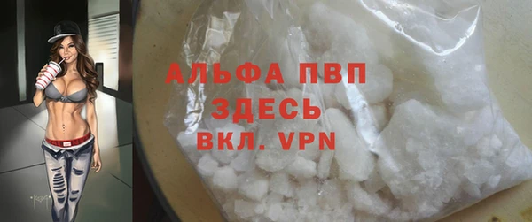 молекула духа Снежногорск
