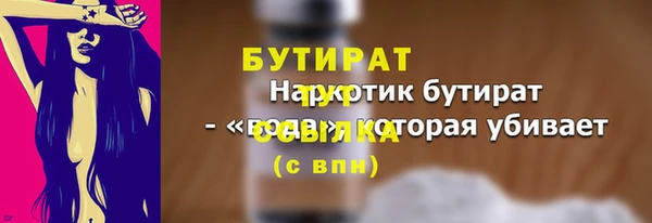 молекула духа Снежногорск