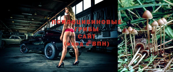 сатива Снежинск