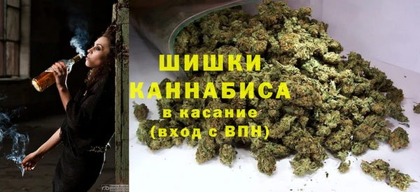 молекула духа Снежногорск