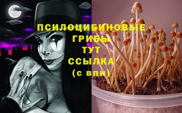 сатива Снежинск