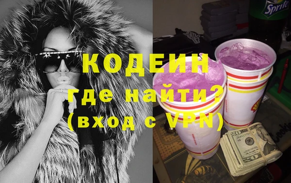 молекула духа Снежногорск