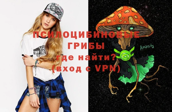молекула духа Снежногорск
