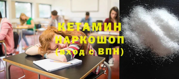 молекула духа Снежногорск