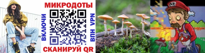 Галлюциногенные грибы Magic Shrooms  Купить закладки  Каменск-Шахтинский 